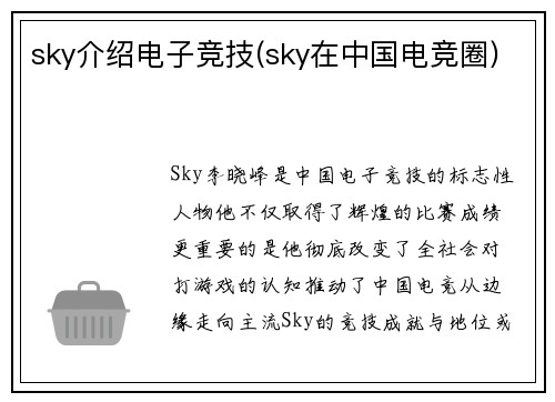 sky介绍电子竞技(sky在中国电竞圈)